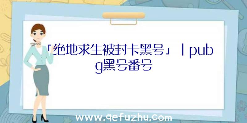 「绝地求生被封卡黑号」|pubg黑号番号